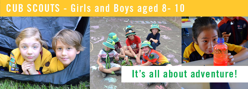 Helensvale Cub Scouts