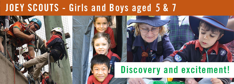 Helensvale Joey Scouts